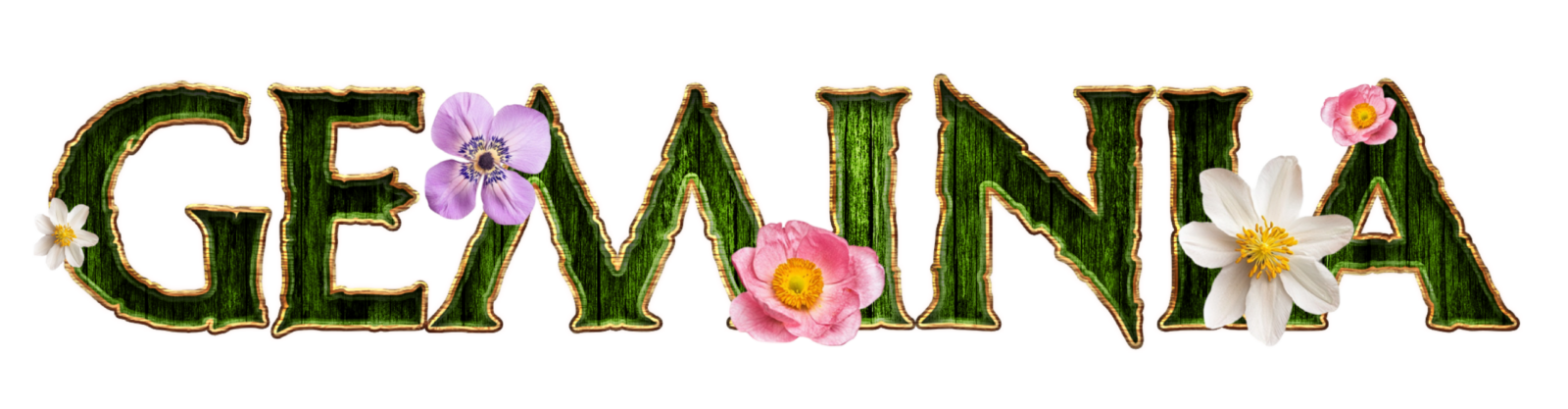 Aura Section Logos_Geminia