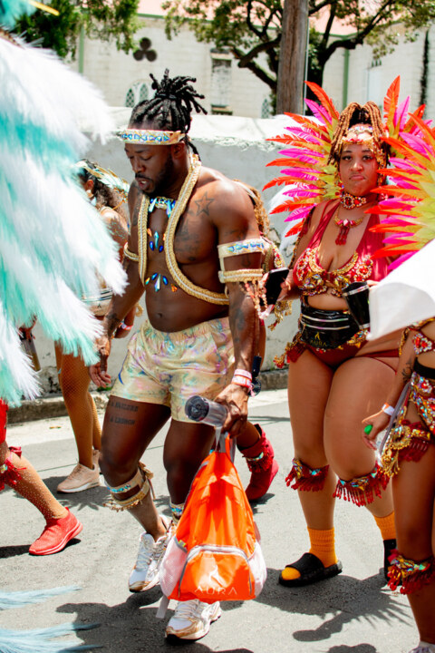 Image Not Found On Media Library