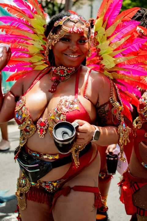 Image Not Found On Media Library