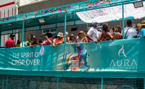 Image Not Found On Media Library