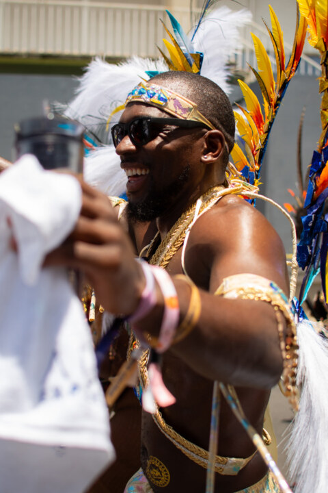 Image Not Found On Media Library