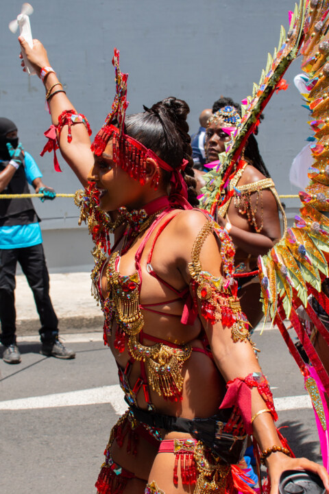 Image Not Found On Media Library