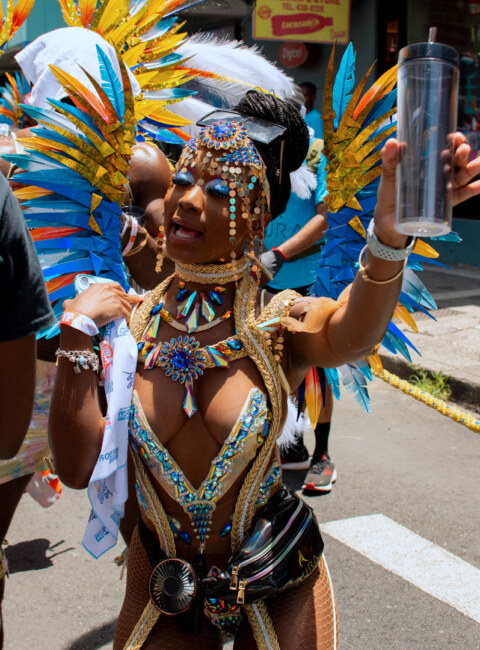 Image Not Found On Media Library