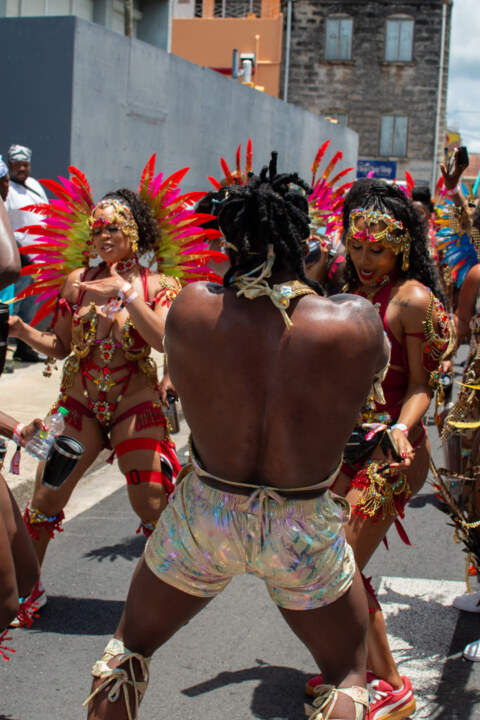 Image Not Found On Media Library