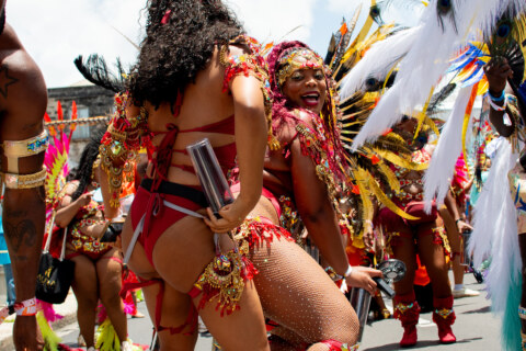 Image Not Found On Media Library