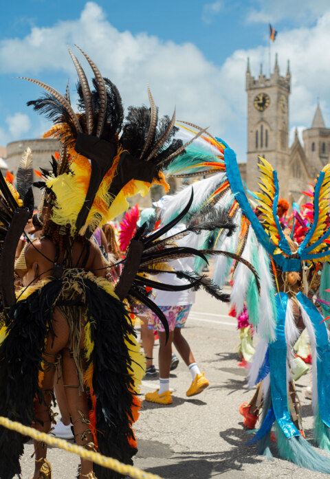 Image Not Found On Media Library