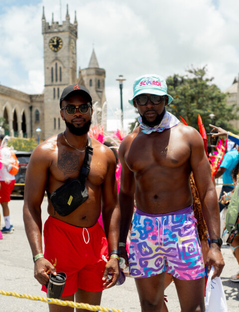 Image Not Found On Media Library