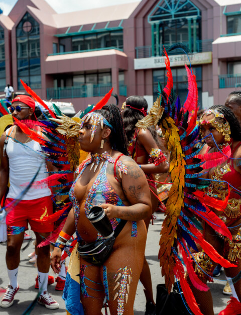 Image Not Found On Media Library