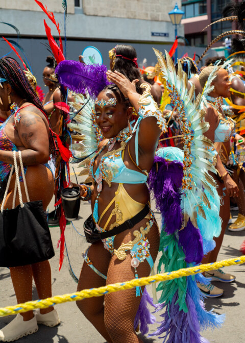 Image Not Found On Media Library