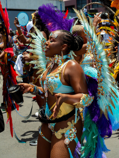 Image Not Found On Media Library