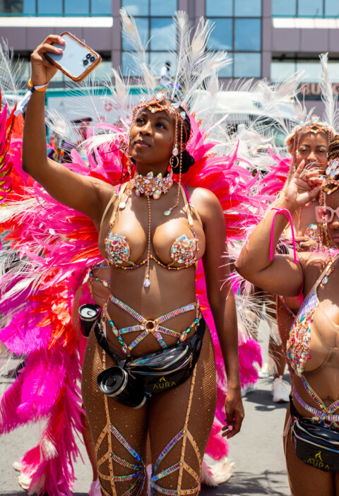 Image Not Found On Media Library