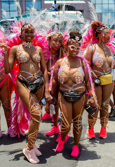 Image Not Found On Media Library