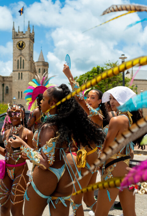 Image Not Found On Media Library