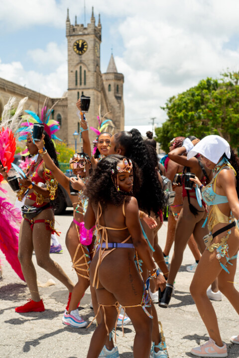 Image Not Found On Media Library