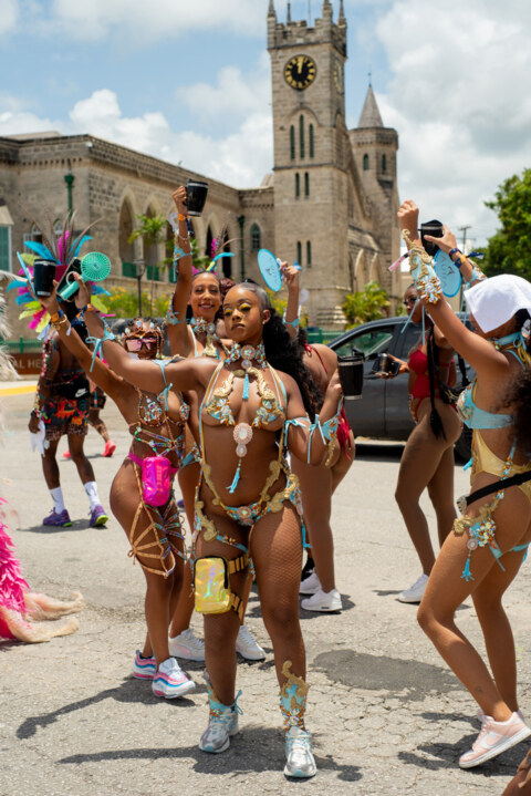 Image Not Found On Media Library