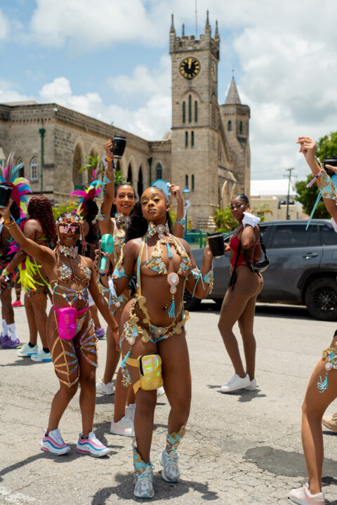 Image Not Found On Media Library