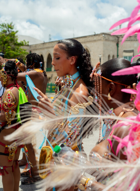 Image Not Found On Media Library