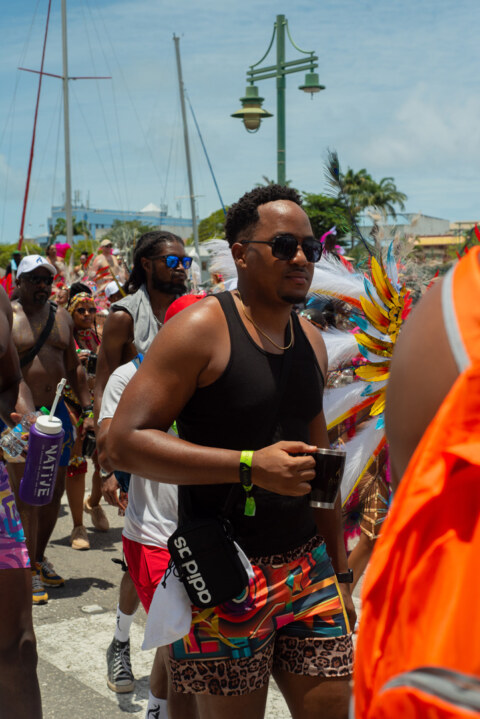 Image Not Found On Media Library