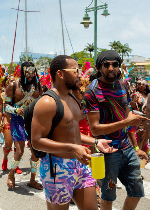 Image Not Found On Media Library