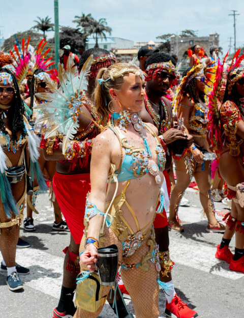 Image Not Found On Media Library