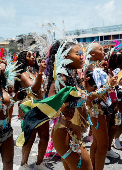 Image Not Found On Media Library