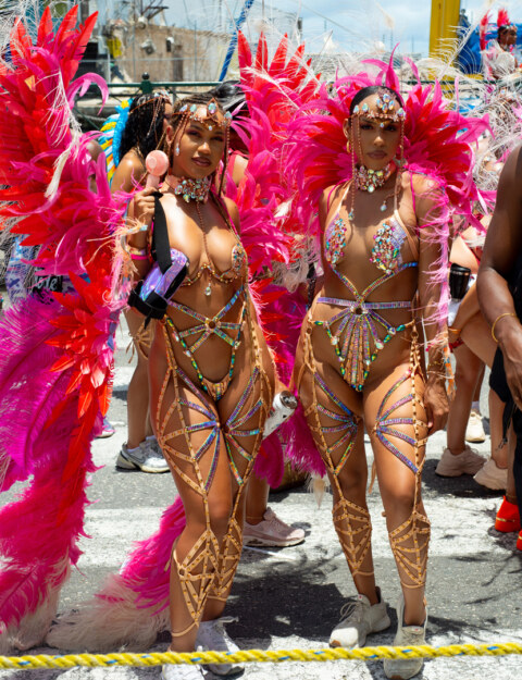 Image Not Found On Media Library