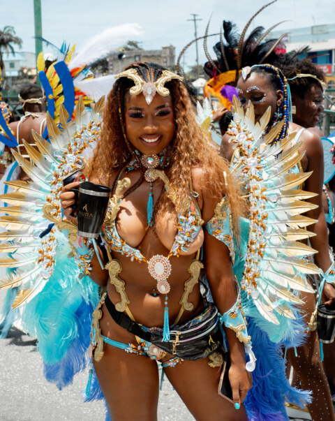 Image Not Found On Media Library