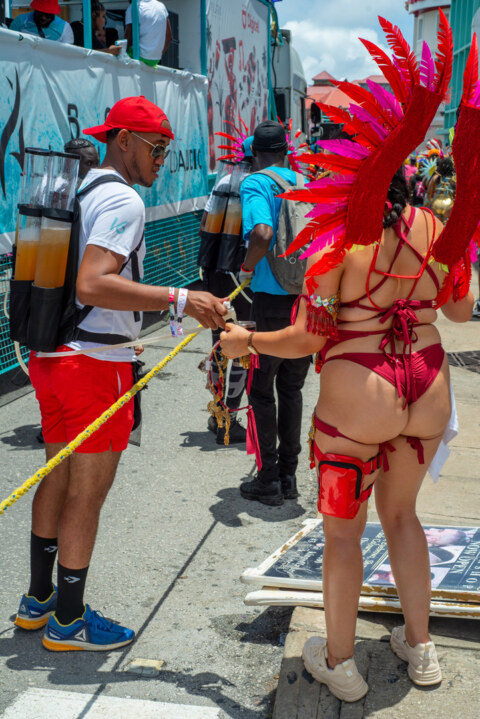 Image Not Found On Media Library