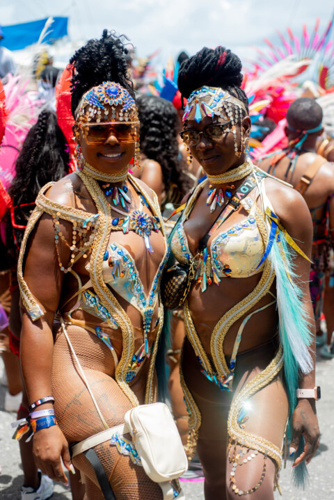 Image Not Found On Media Library