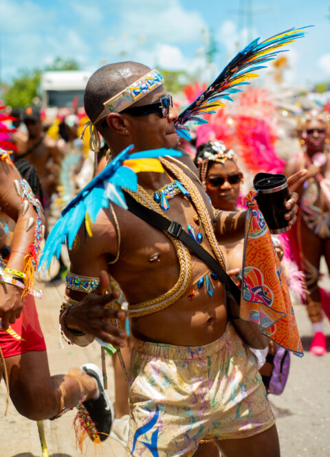 Image Not Found On Media Library