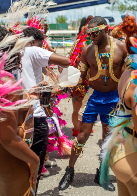 Image Not Found On Media Library