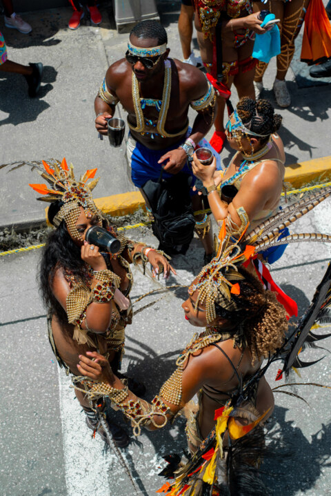 Image Not Found On Media Library