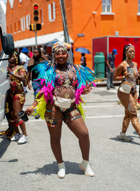 Image Not Found On Media Library