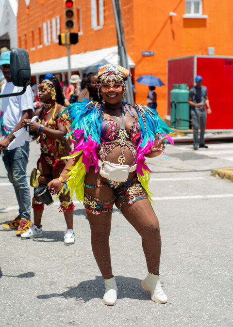 Image Not Found On Media Library