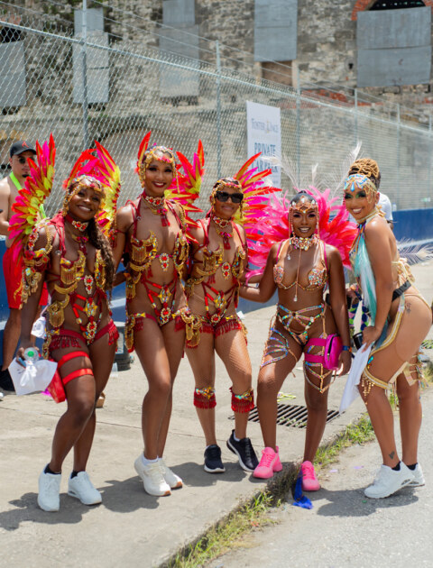 Image Not Found On Media Library