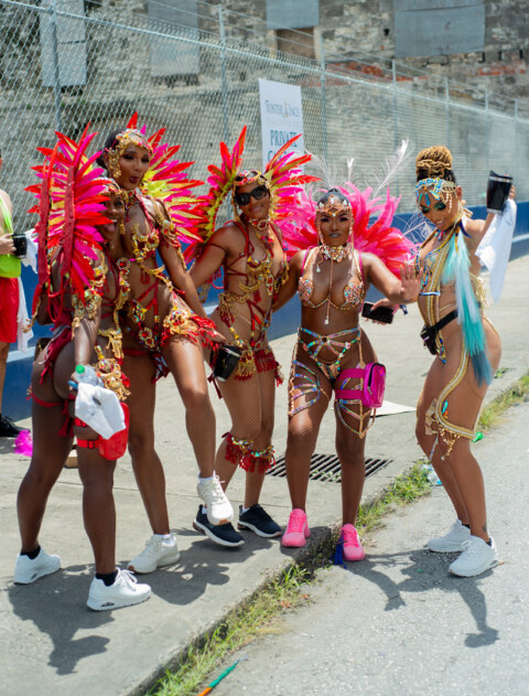 Image Not Found On Media Library