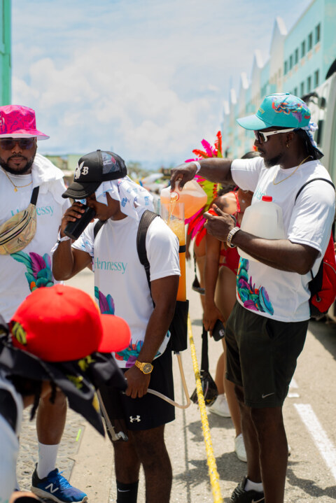 Image Not Found On Media Library