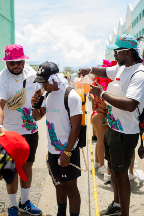 Image Not Found On Media Library