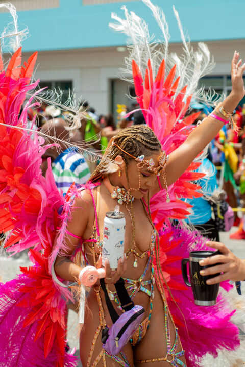 Image Not Found On Media Library