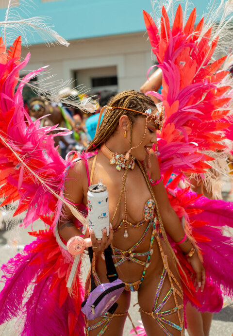 Image Not Found On Media Library