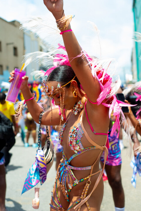 Image Not Found On Media Library