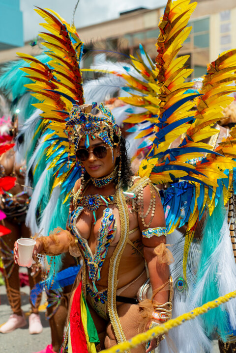 Image Not Found On Media Library