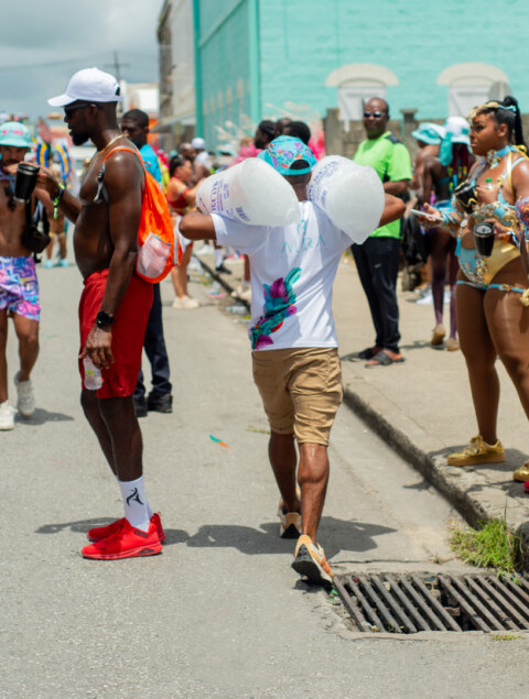 Image Not Found On Media Library