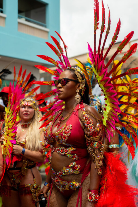 Image Not Found On Media Library