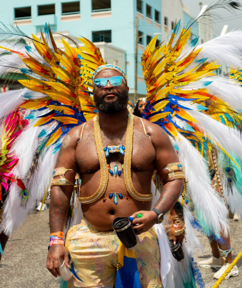 Image Not Found On Media Library