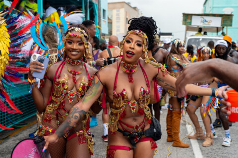 Image Not Found On Media Library