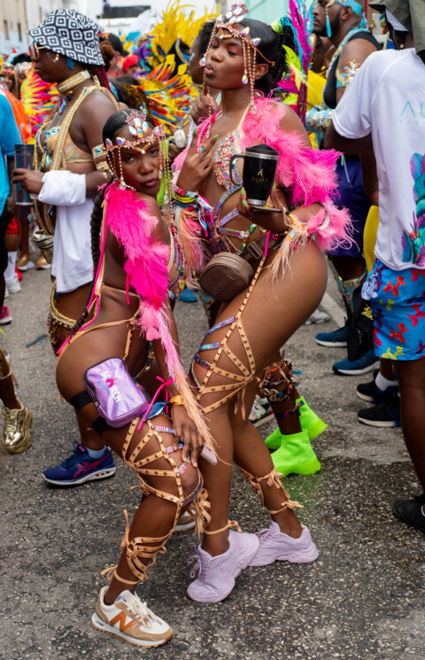 Image Not Found On Media Library