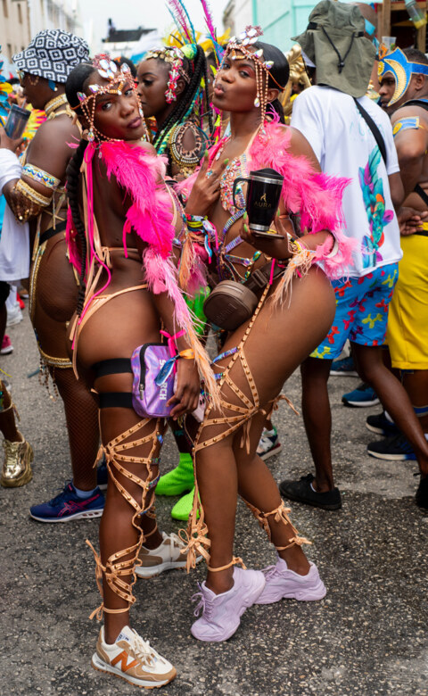 Image Not Found On Media Library