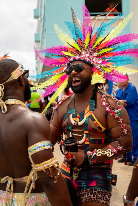 Image Not Found On Media Library