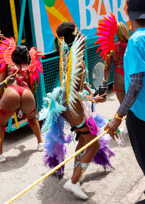 Image Not Found On Media Library